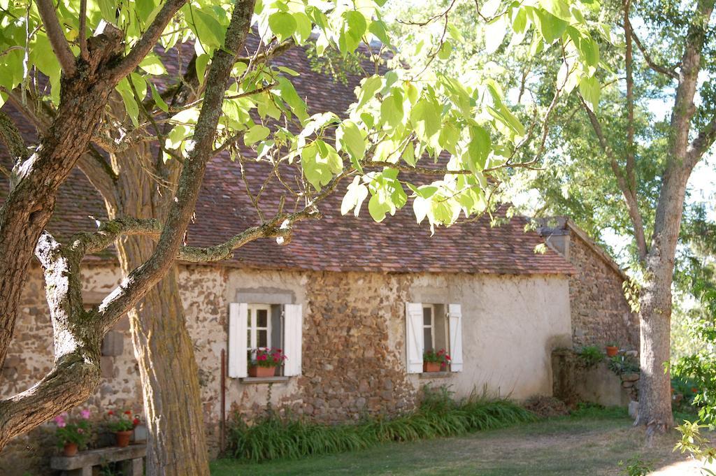 Le Mas D'En Haut Lussat Habitación foto