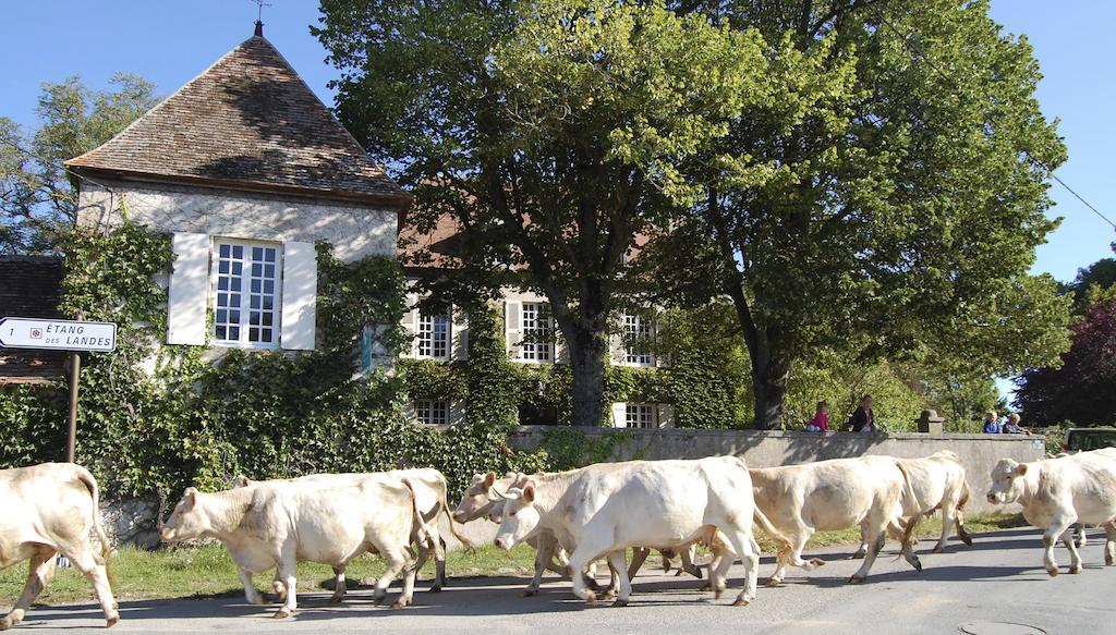 Le Mas D'En Haut Lussat Exterior foto